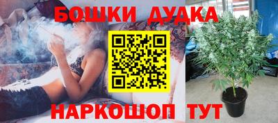 шишки Севастополь