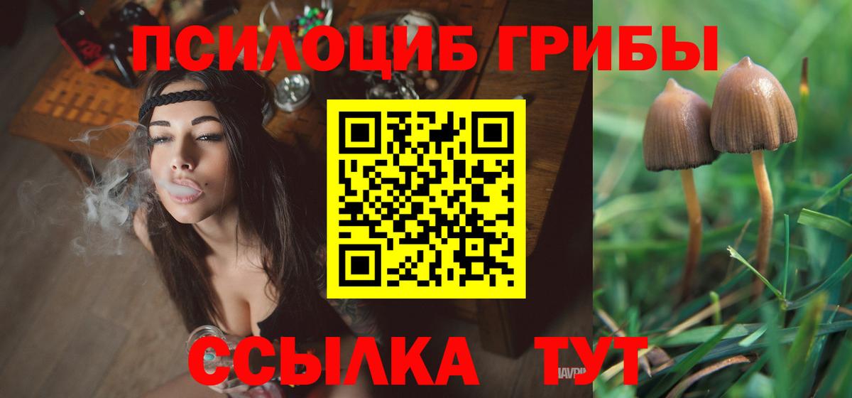 Псилоцибиновые грибы мухоморы Пушкино